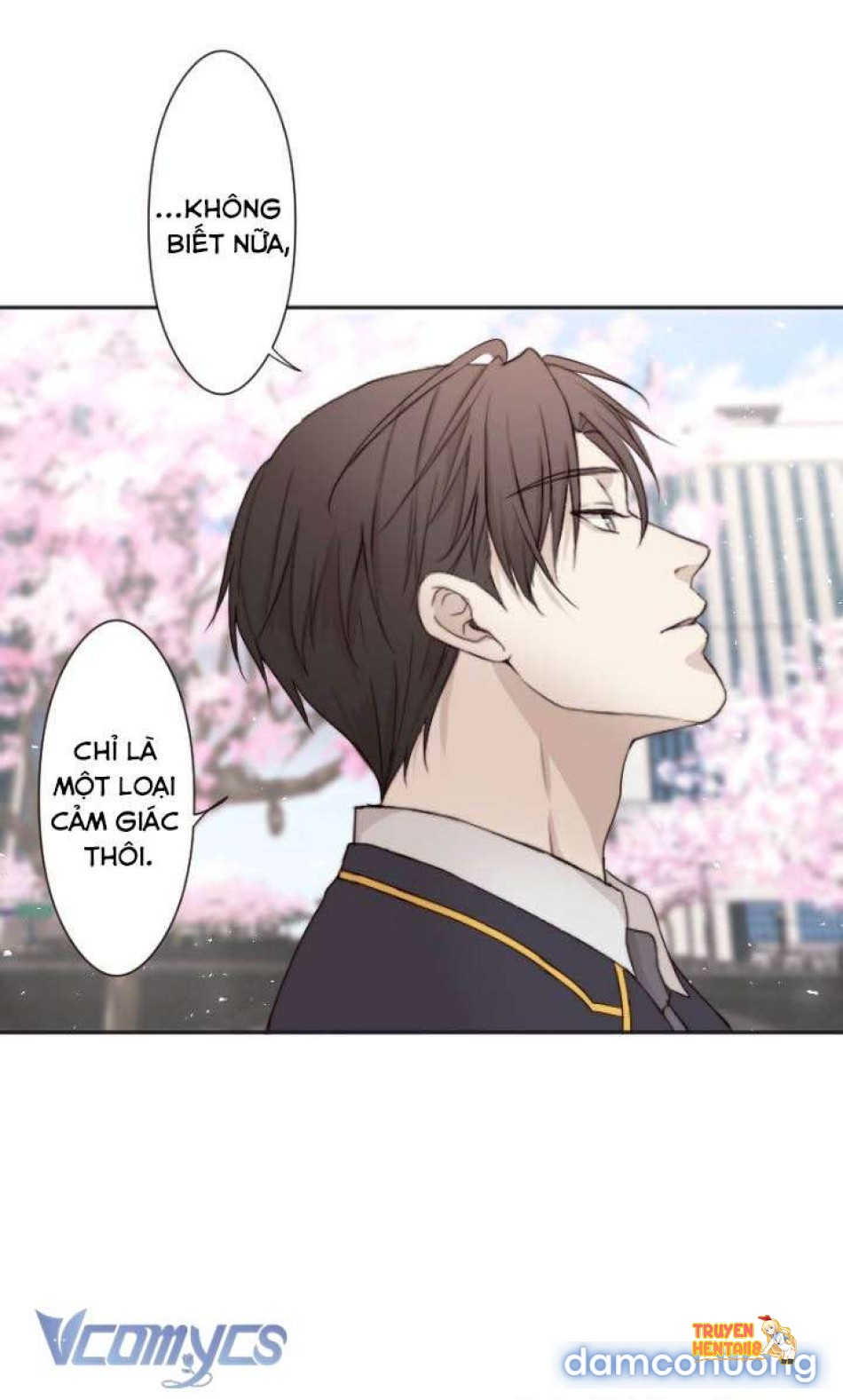 Xem ảnh Cám Dỗ Nguy Hiểm - Chapter 19 - tmprh3ptvwl - Truyenhentaiz.net