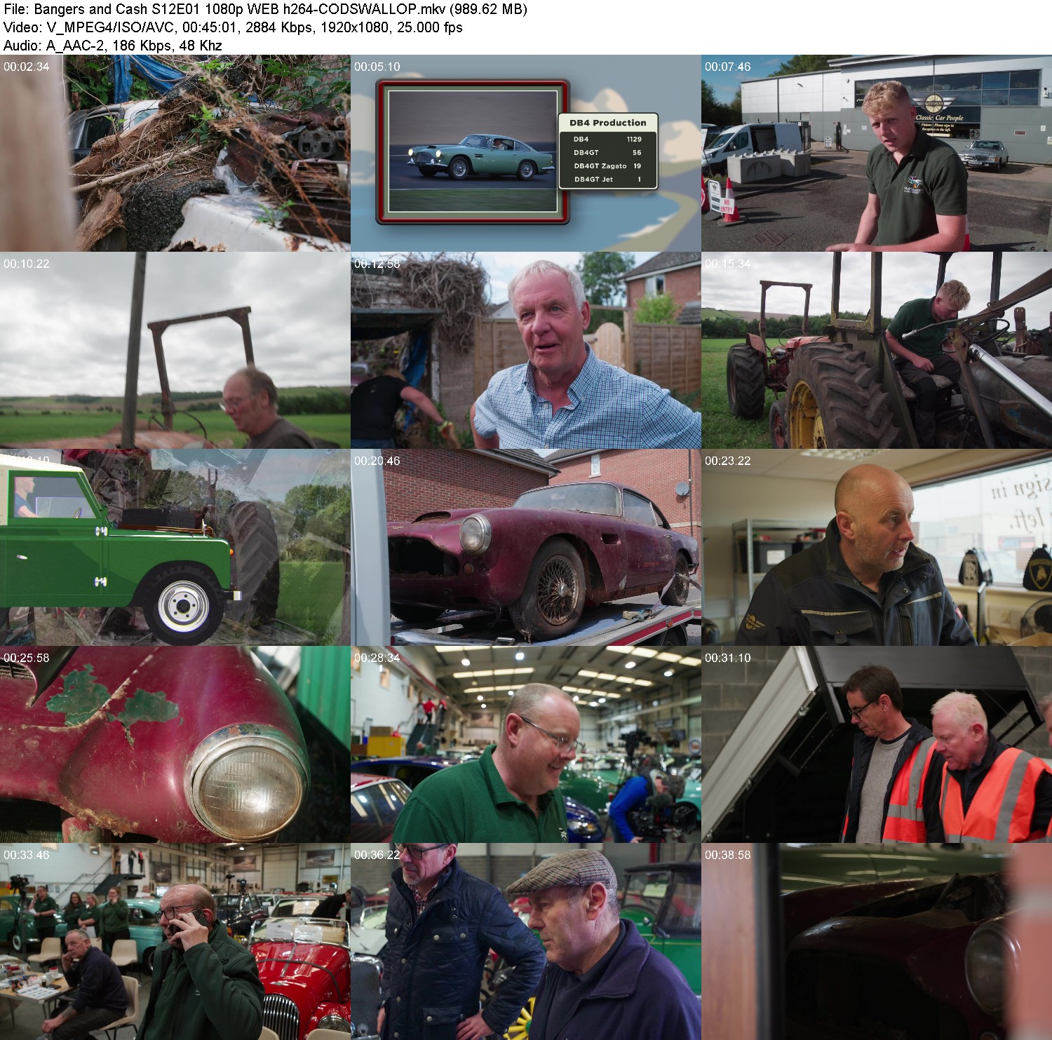 [Image: qvtfzg68l9y1.jpg]