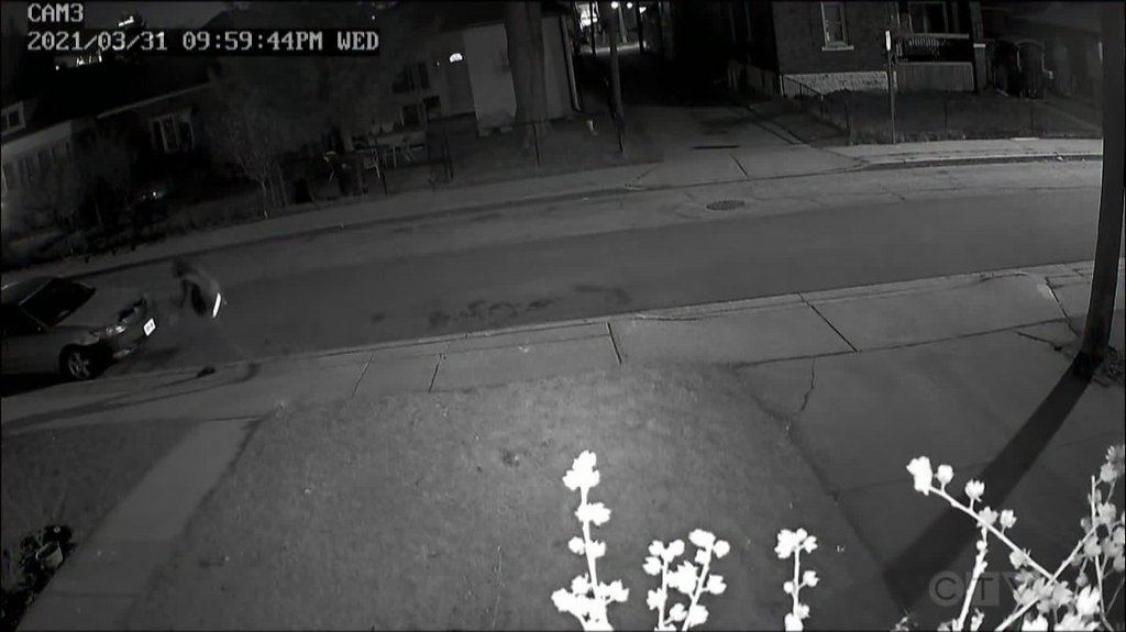 [Image: 9fm3vgpyr83y.jpg]