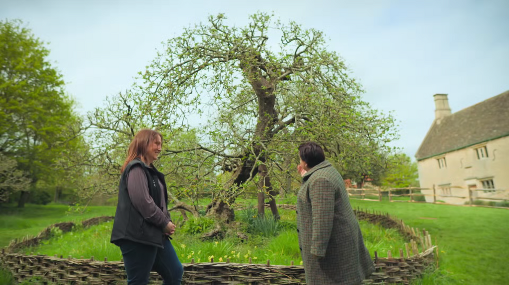 [Image: eue8zol3z8n4.png]