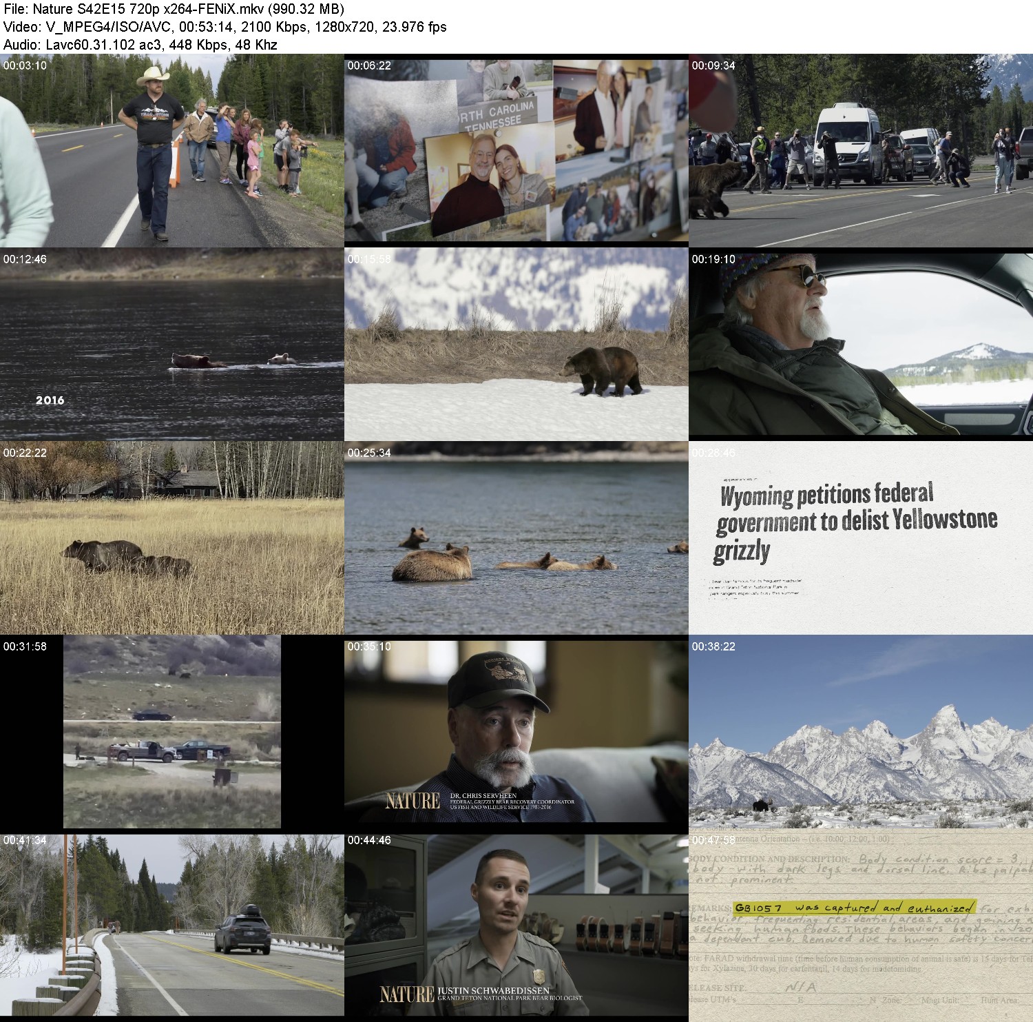 [Image: fl9r0cm2h6lp.jpg]