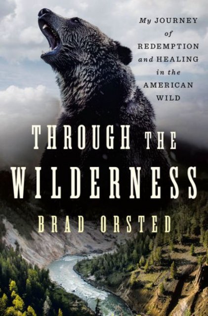 Book Review: Through the Wilderness by Brad Orsted