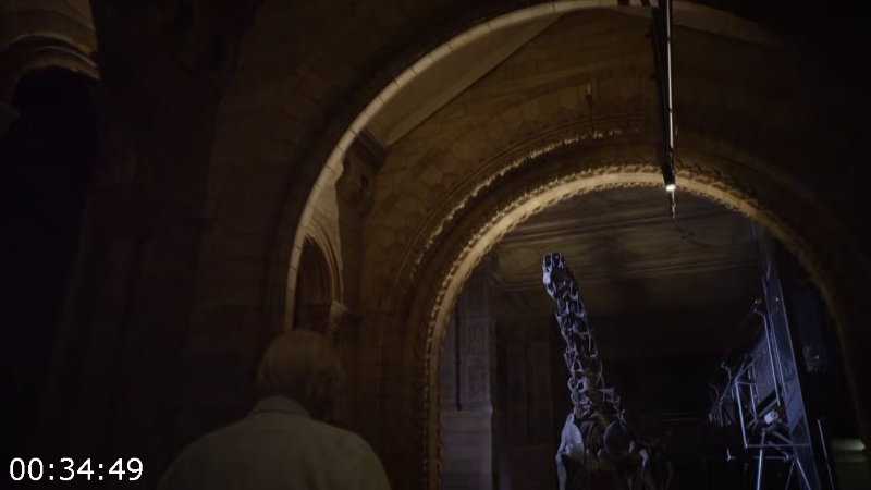 [Image: iqn02fsa38bd.png]