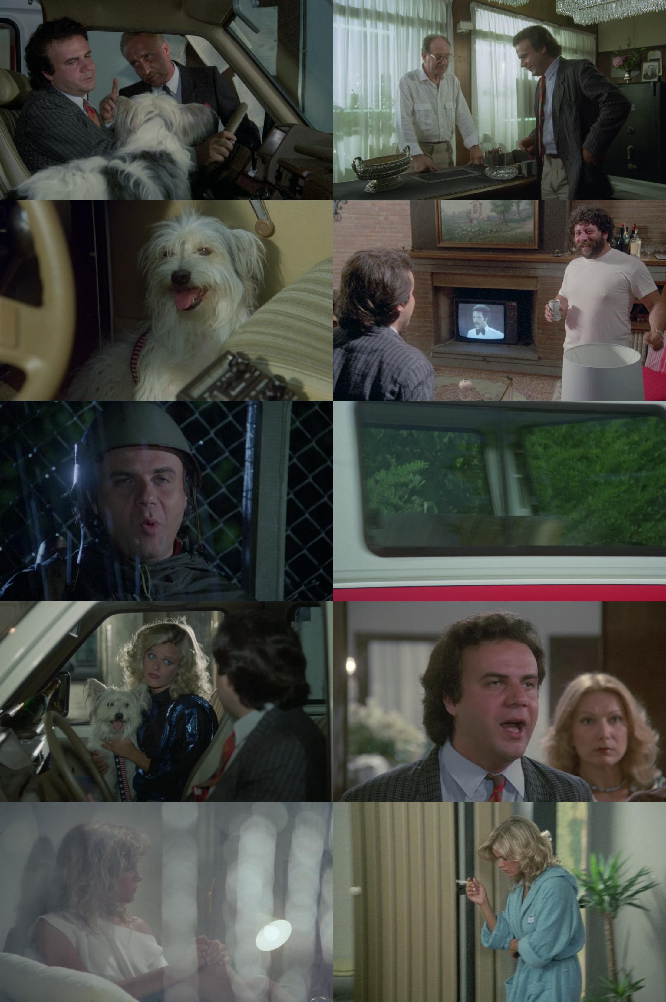 Domani.Mi.Sposo.1984.ITALIAN.1080p.WEBRip.x265-VXT Scarica Gratis