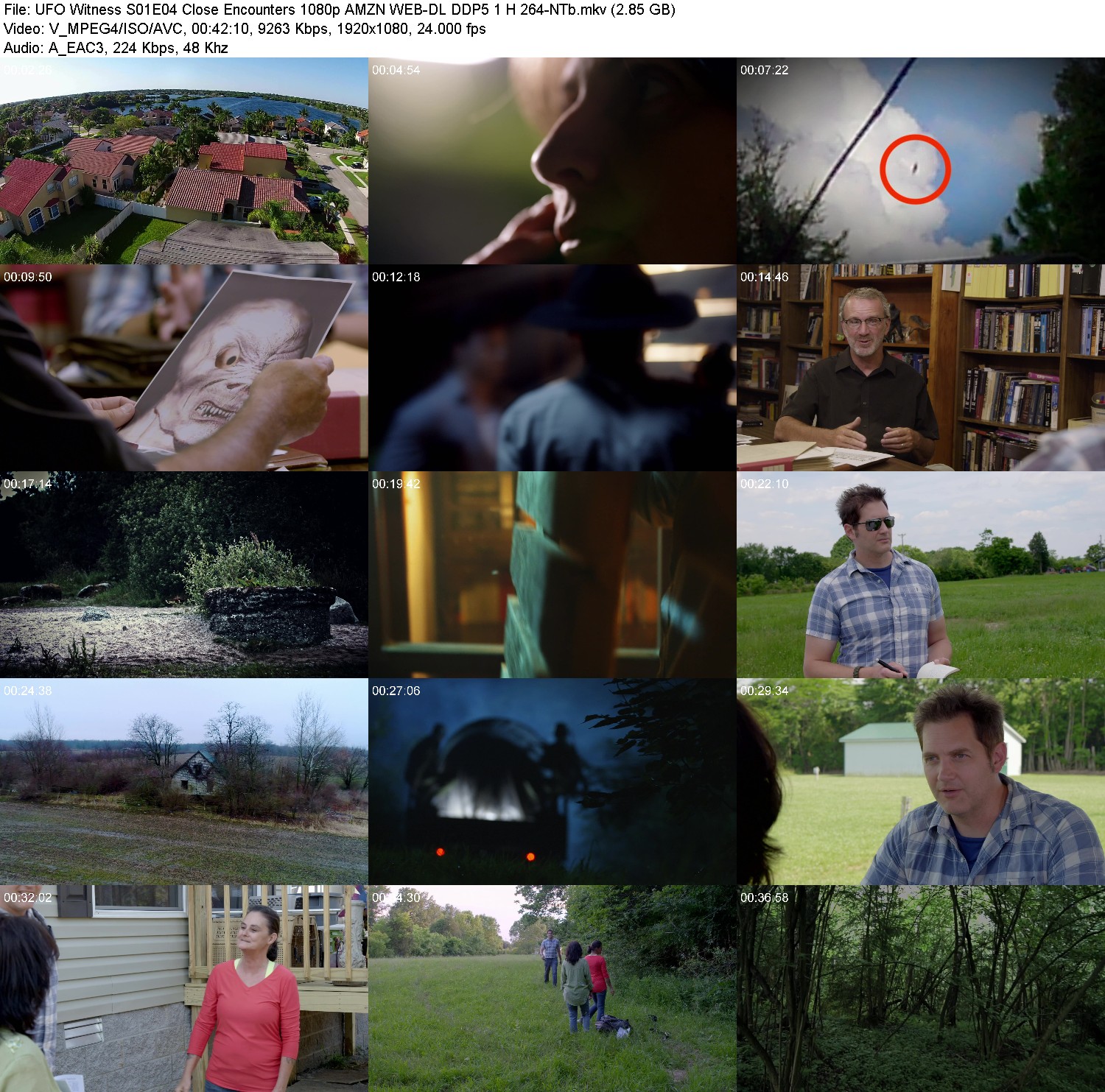 [Image: r9hwf08s1zpp.jpg]