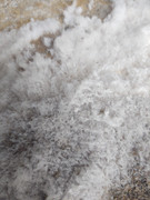 IMG_20201114_092549376