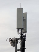 PXL-20260801-185908670.jpg