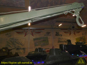 DSCN6577