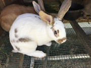 B9E23855-1AA9-40AF-A9A7-1C4D6F96C44B