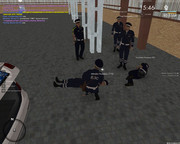 Скриншот 29-06-2025 131252