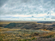 IMG-20241016-133214-01-01