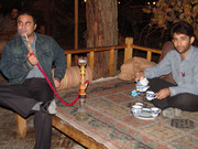 volghanhosseini (1001)