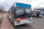 IMG-3116