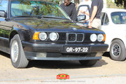 IMG-3447