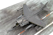 Harrier-11.jpg