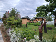 IMG-20250521-113140.jpg