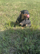 IMG-6200.jpg