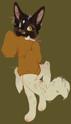 IMG-1263