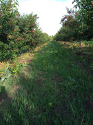 IMG_20210614_173836064