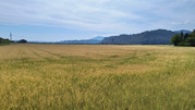 IMG-20260602-101116662