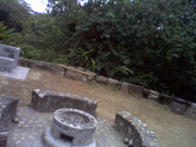 picture-0014_27057880218_o