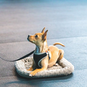 41BC9EEA-9CC0-4BC0-8849-12627A100D9E