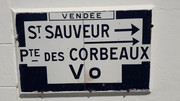 20200623-113535.jpg