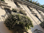IMG-3604