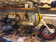 56260486_2285547608168716_1392200248700436480_n_2285547604835383