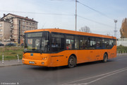 IMG-1229