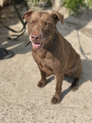 IMG_20230706_152121_489