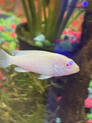 4A88B73F-B7AA-435E-9141-1BDF7CF52F64