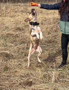 IMG_20230416_173401_920