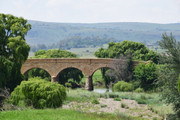 DSC-0039