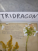 IMG_20250817_205453_025