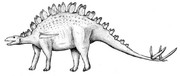 https://i.postimg.cc/Yvj8v2W7/Chialingosaurus-J-Parish-ef98.jpg