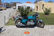 IMG-6105