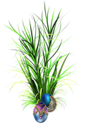 0-1c1b13-506ee1-orig