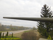 DSCN4381