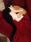 IMG-20190508-212726.jpg
