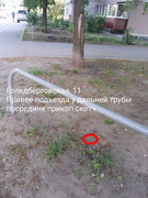 IMG_20190507_094608_177