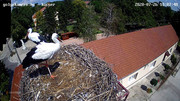 Kép