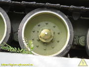 IMG-3004