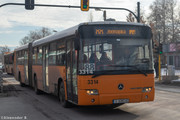 IMG-7098