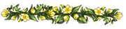 Divider-213x50