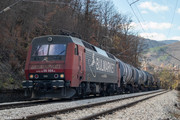 IMG-2248