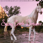 A053CA68-B8BB-4F71-B5DB-2DD46AAAD4C3