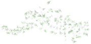 0-1c0a24-80602e9c-orig