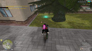 IMG-6638