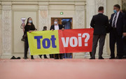 tot-voi